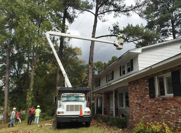 Lawn Irrigation Installation and Maintenance in Mcdonald, PA